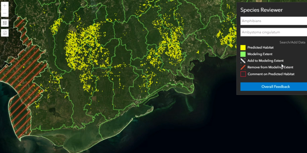 Big Data e AI Convergono in una Mappa per Proteggere la Biodiversità